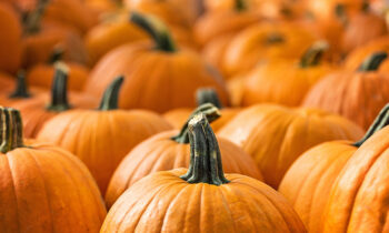 Pumpkin Products for Perfect Skin